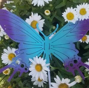 Meet your Posher, Brenda